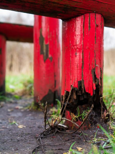Cost of Rotten Column Replacement in Freehold